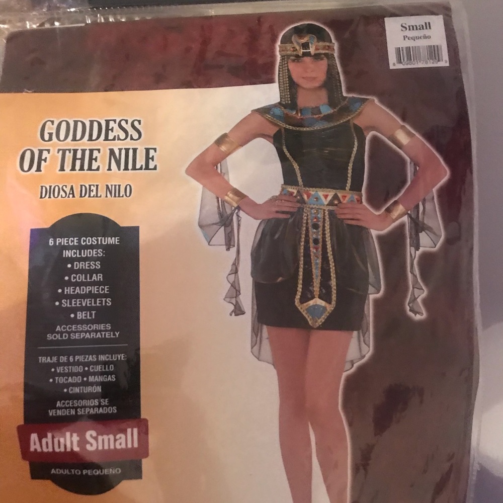 Women’s Goddess Costume